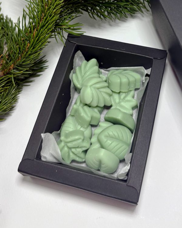 Frunze – wax melts